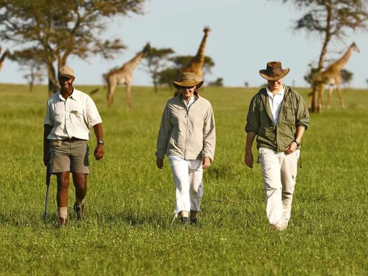 Walking Safari